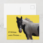Piebald Paint Pony Wensen Gele Foto Briefkaart (Voorkant / Achterkant)