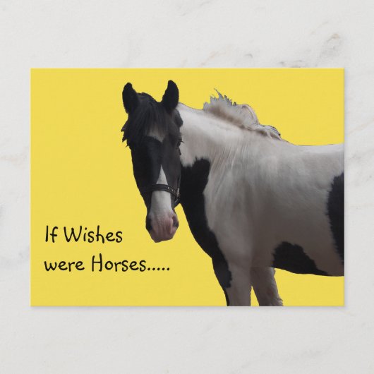 Piebald Paint Pony Wensen Gele Foto Briefkaart (Voorkant)