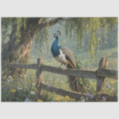 Piebald Peacock on Split rail fence Tissuepapier (Voorkant)