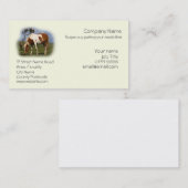 Piebald Pony, rustig grazen Visitekaartje (Voorkant / Achterkant)