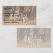 Piebald Visitekaartje (Voorkant / Achterkant)