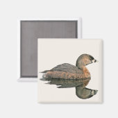 Pied-Billed Grebe Magnet (Voorkant / Achterkant)