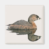 Pied-Billed Grebe Magnet (Voorkant)
