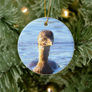 Pied-billed Grebe Vogelornament Keramisch Ornament