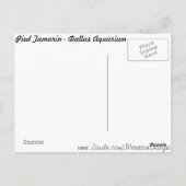 Pied Tamarin # 2 Briefkaart (Achterkant)