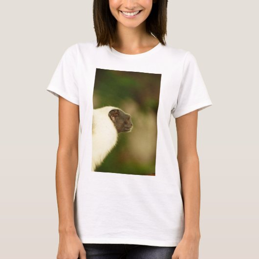 Pied Tamarin T-shirt (Voorkant)