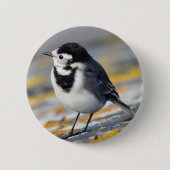 Pied Wagtail Badge Ronde Button 5,7 Cm (Voorkant)