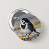 Pied Wagtail Badge Ronde Button 5,7 Cm (Voorkant /achterkant)