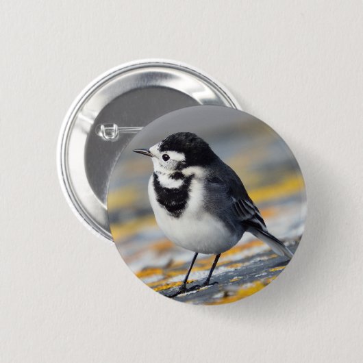 Pied Wagtail Badge Ronde Button 5,7 Cm (Voorkant /achterkant)