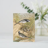 Pied Wagtail  Bird Illustration Briefkaart (Staand voorkant)