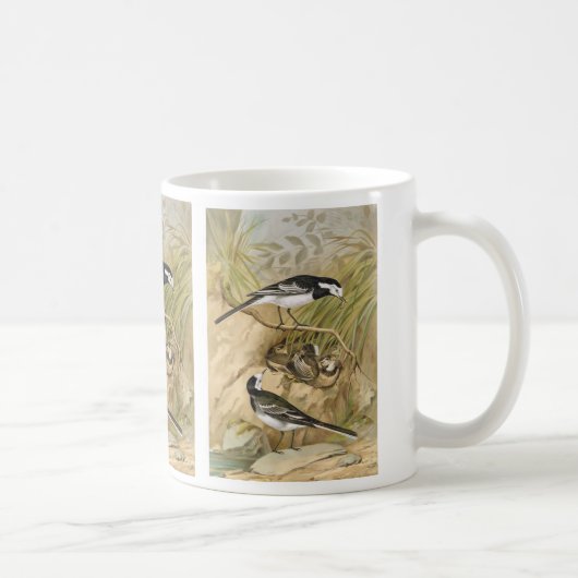 Pied Wagtail Bird Illustration Koffiemok (Rechts)