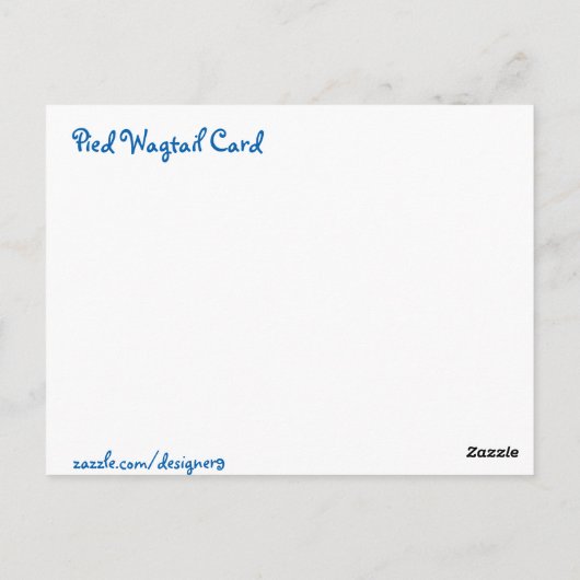 Pied Wagtail Briefkaart (Achterkant)