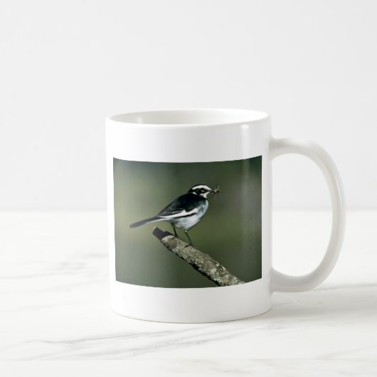 Pied Wagtail Koffiemok (Rechts)