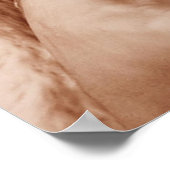 Piegan Blackfoot Native American Man Poster (Hoek)