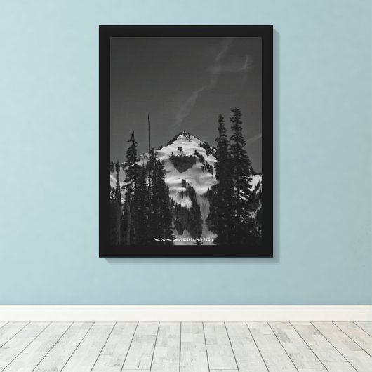 Piek tussen bomen canvas afdruk (Insitu (Houten vloer))