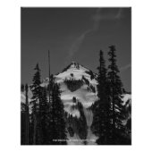 Piek tussen bomen foto afdruk (Voorkant)