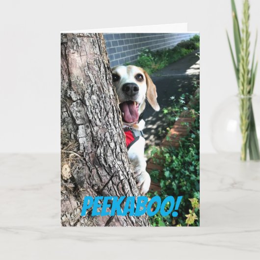 PIEKABOE KAART (Voorkant)