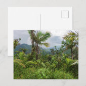 Pieken en valleien van el-yunque briefkaart (Voorkant / Achterkant)