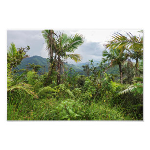 Pieken en valleien van el-yunque foto afdruk