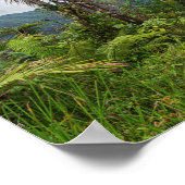 Pieken en valleien van el-yunque poster (Hoek)