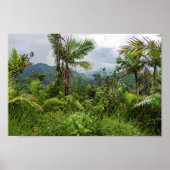 Pieken en valleien van el-yunque poster (Voorkant)