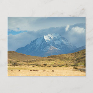 Pieken van de bergen in Torres del Plains Briefkaart