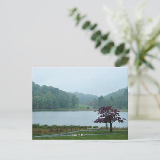 Pieken van Otter Briefkaart (Staand voorkant)