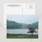 Pieken van Otter Briefkaart (Voorkant / Achterkant)