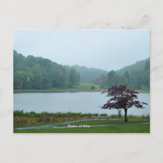 Pieken van Otter Briefkaart