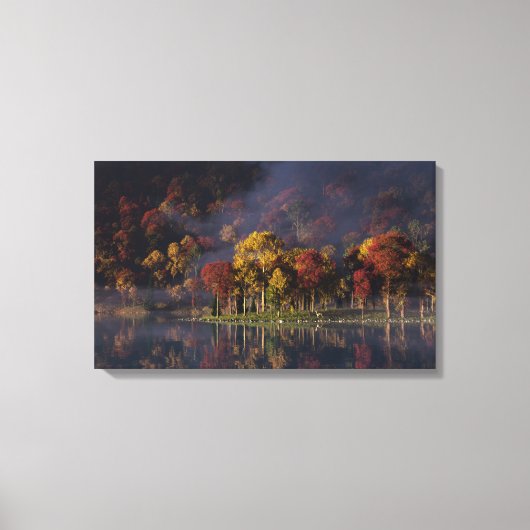 Piekkleurencanvas afdrukken (Voorkant)