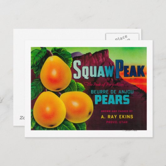 PiekperenkratProvo, UT Briefkaart (Voorkant / Achterkant)