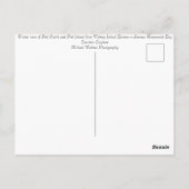 Piel Island Cumbria England Briefkaart (Achterkant)