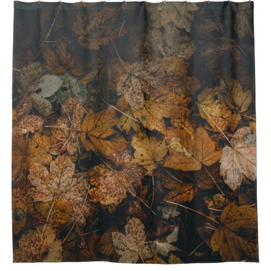 PIEL VAN BROWN MAPELLEAVES DOUCHEGORDIJN (Voorkant)