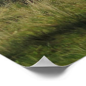 Pieniny Poster (Hoek)