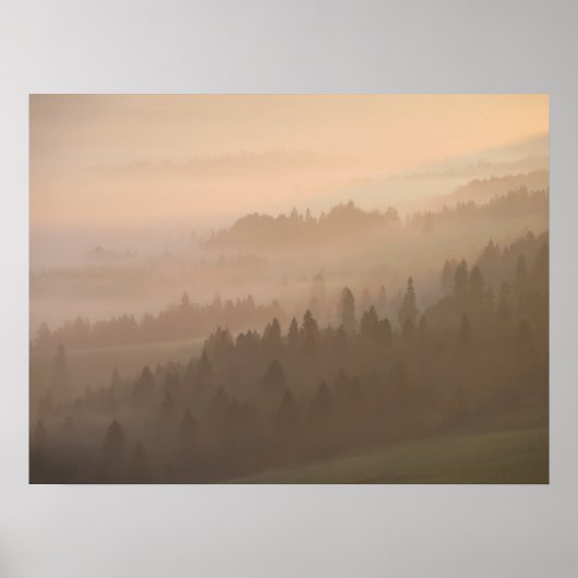 Pieniny sunrise poster (Voorkant)