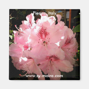 Pienza, Italië Magneet