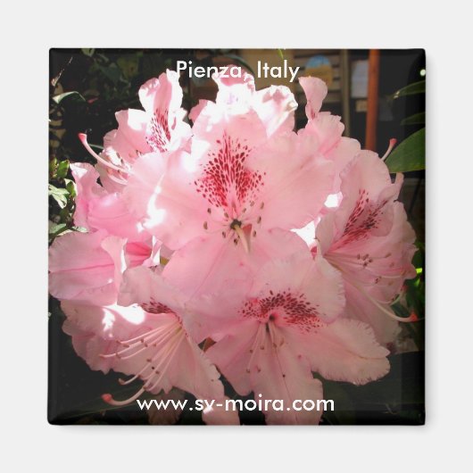 Pienza, Italië Magneet (Voorkant)