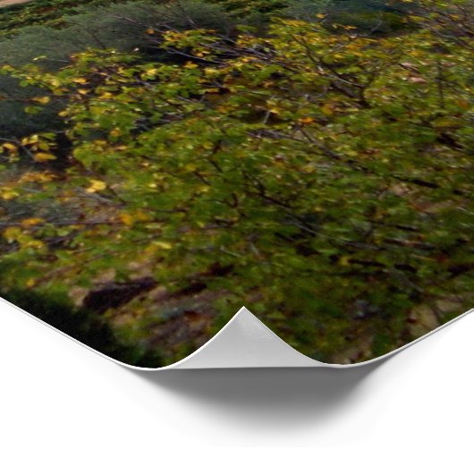 Pienza Landscape Poster (Hoek)