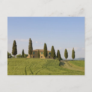 Pienza, Val d'Orcia, provincie Siena, Toscane, Briefkaart