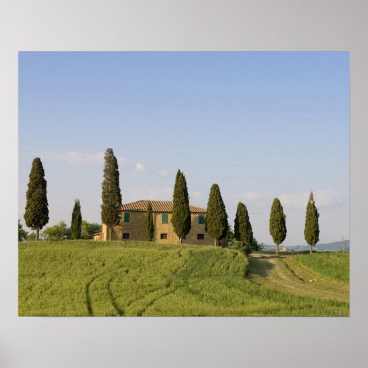 Pienza, Val d'Orcia, provincie Siena, Toscane, Poster (Voorkant)