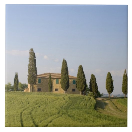 Pienza, Val d'Orcia, provincie Siena, Toscane, Tegeltje (Voorkant)