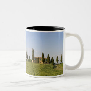 Pienza, Val d'Orcia, provincie Siena, Toscane, Tweekleurige Koffiemok