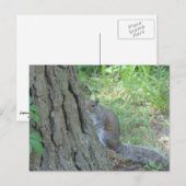 Piep-eekend Eekhoorn - Briefkaart (Voorkant / Achterkant)