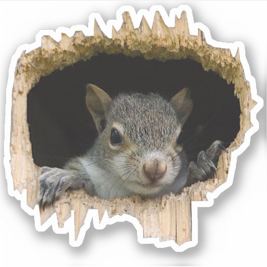 Piep. - grijze eekhoorn sticker (Voorkant)