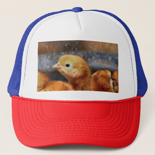 Piep piep  trucker pet (Voorkant)