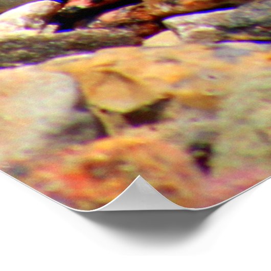 Piepels kleurige textuur poster (Hoek)