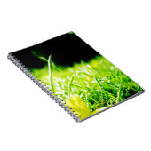 piepen notitieboek (Rechterzijde)