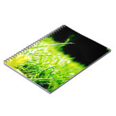 piepen notitieboek (Linkerzijde)