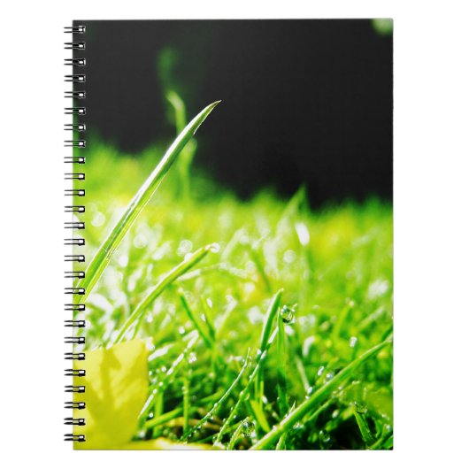 piepen notitieboek (Voorkant)