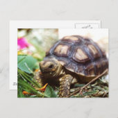 piepklein briefkaart (Voorkant / Achterkant)